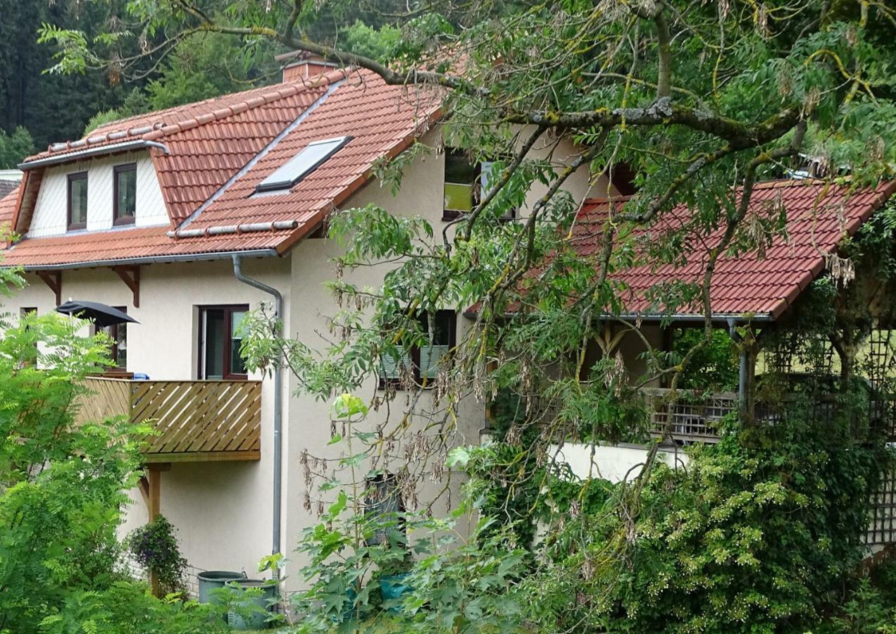 Ferienwohnung Am Berggrabenweg Ilmenau Exterior foto